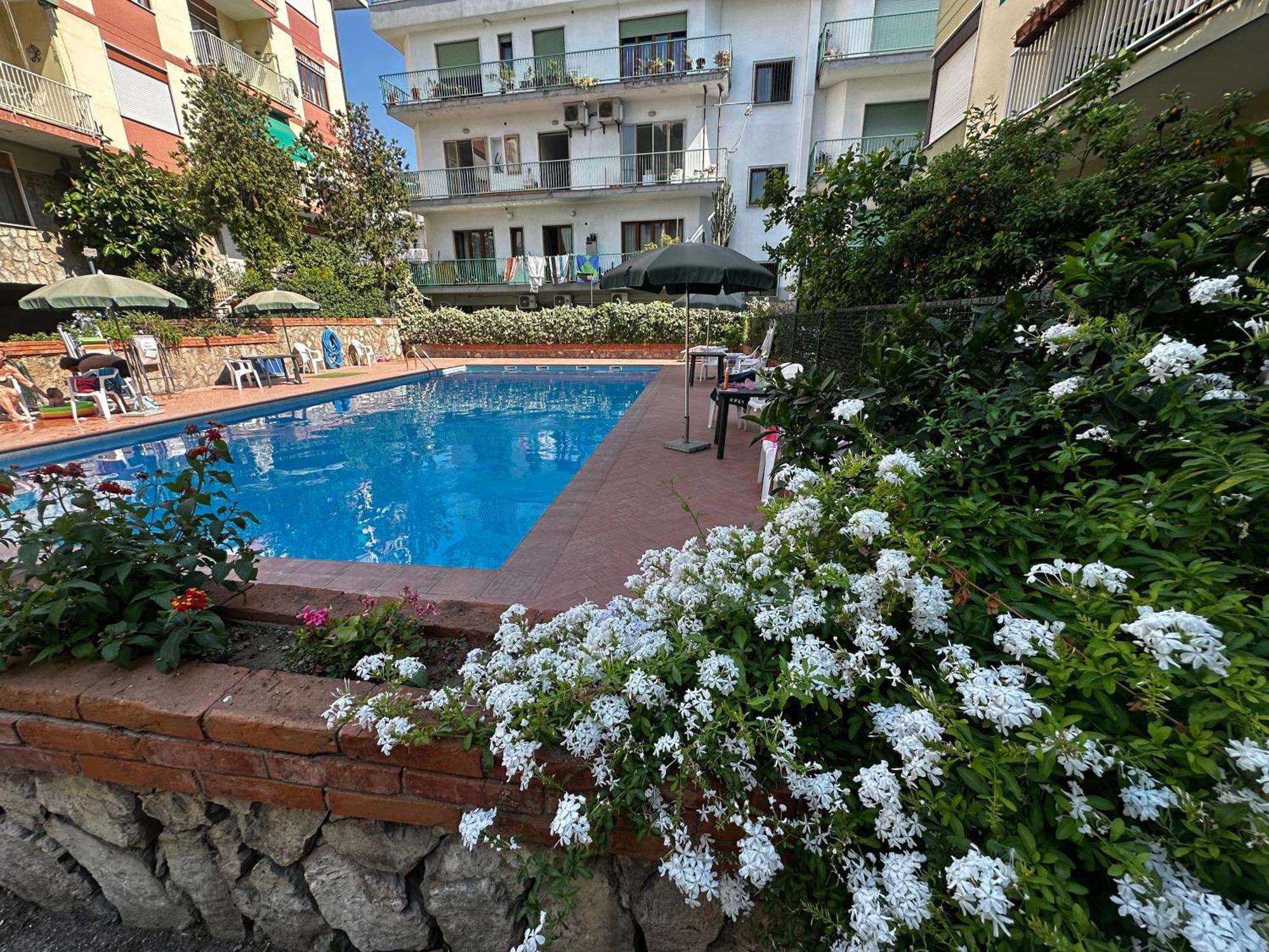 Apartment & Pool 2